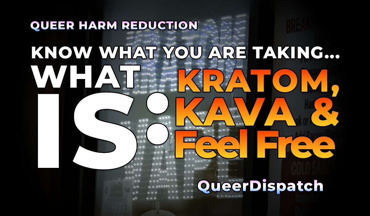 “Feel Free,” Kratom, Kava, and the Quiet Crisis in Queer Wellness Spaces